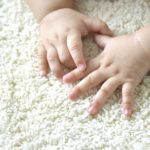 Carpet And Oven Cleaning Services: Create A Safer Household