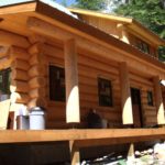 What Is Professional Timber Harvesting