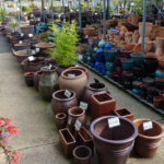 Brief Information About The Terracotta Plant Pots