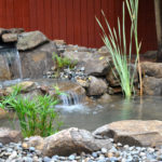 Why You Should Think About Installing A Garden Pond