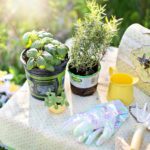 7 Must-Have Gardening Tools